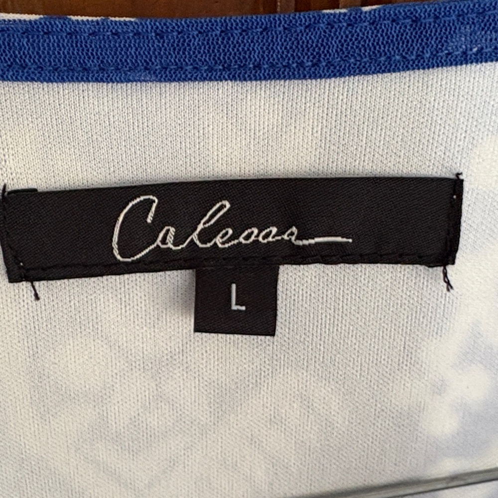 NWT Gorgeous Blue and White Maxi Dress - Picture 4 of 8